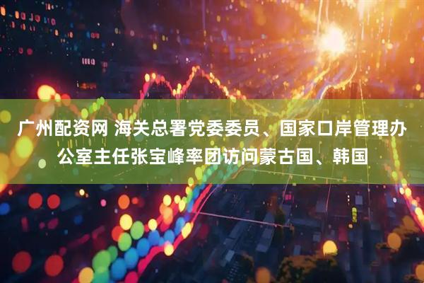 广州配资网 海关总署党委委员、国家口岸管理办公室主任张宝峰率团访问蒙古国、韩国