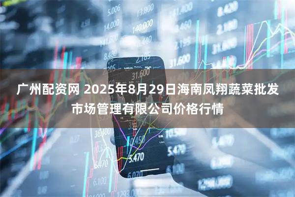 广州配资网 2025年8月29日海南凤翔蔬菜批发市场管理有限公司价格行情